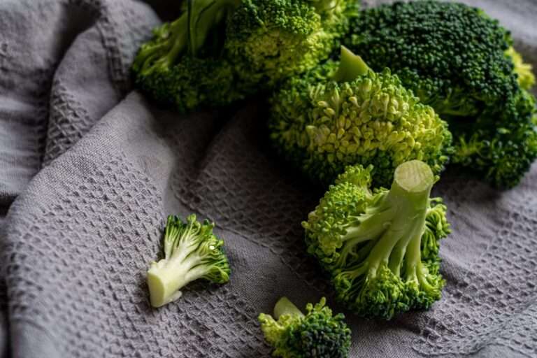 broccoli casserole