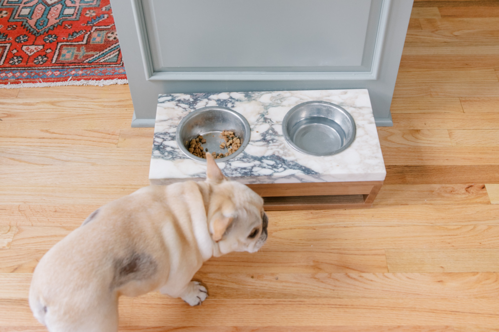 pet friendly kitchen