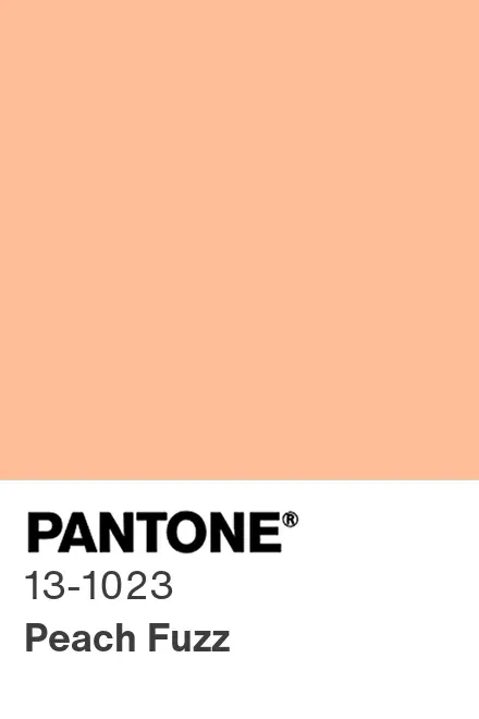 2025 color of the year