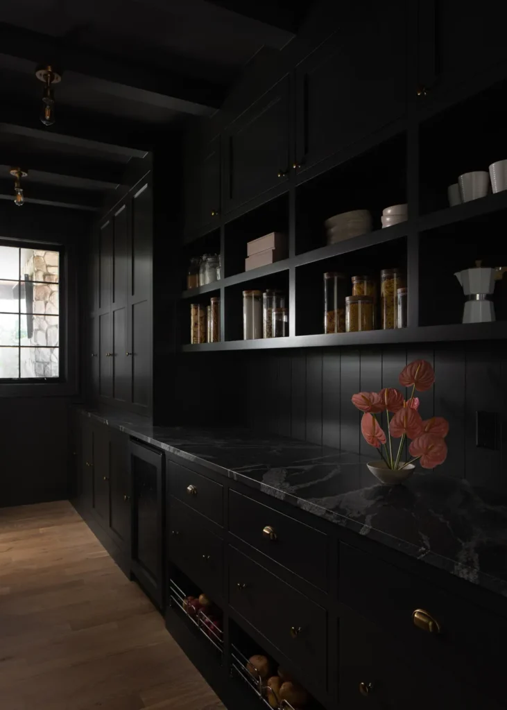 backsplash ideas for black countertops and wood cabinets